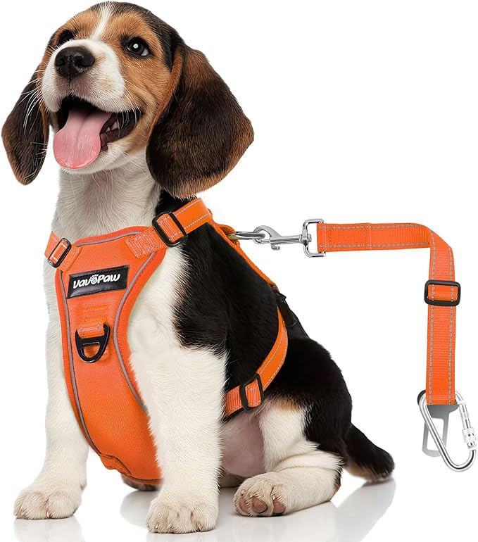 Dog Seat Belt Harness for Car, Dog Car Harness Adjustable Mesh Breathable & Dogs Seatbelt Safety Tether with Elastic Bungee for Small Medium Large Pets(Orange, M)-PurrikoPets