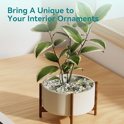 2.5 lbs Jade Pebbles for Indoor Plants, 3/8" Plant Rocks for Pots Indoor, Decorative Small Stones for Plants, Bamboo,Vase, Succulent, Highly Polished Small River Rocks-PurrikoPets