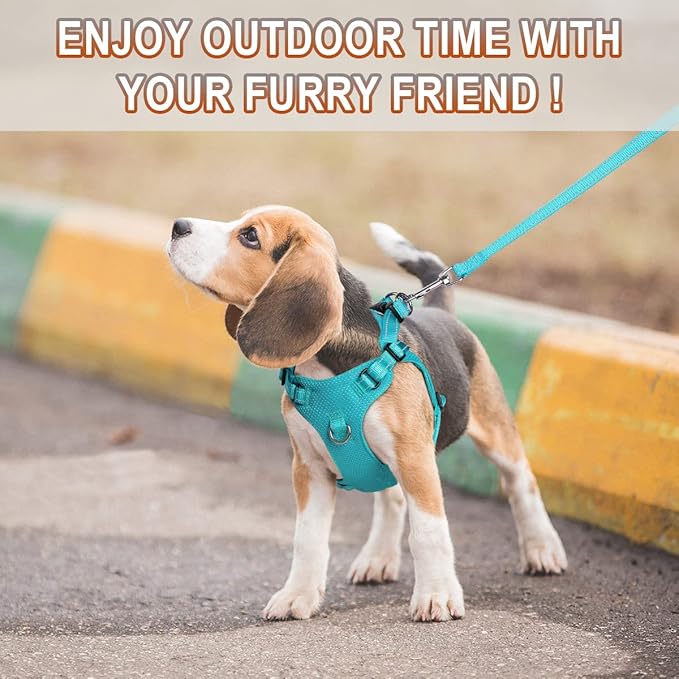 Dog Harness Step in Dog Vest Harness, Reflective Adjustable Puppy No Pull Harness Breathable Soft for Small and Medium Dogs Cats, Ocean Blue, S-PurrikoPets