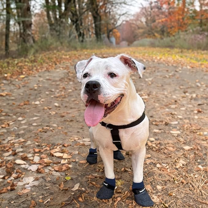 Double Dipped Thick Textured Waterproof Cotton Dog Socks | PawFlex Comfy Pawz Soft Indoor/Outdoor Pet Booties | Non-Slip Silicone Grip at Inner Wrist for No Twisting or Sliding Off| Adjustable Strap-PurrikoPets