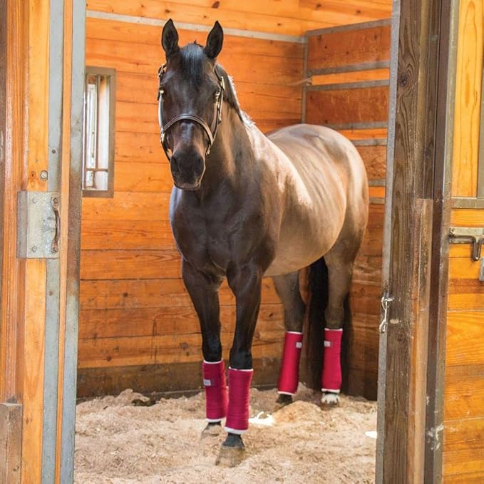Dura-Tech Standing Wraps for Horses | Color Royal | Optimal Comfort & Support | Ideal for Post-Exercise & Trailering | Right Tension Application | Secure Closure-PurrikoPets