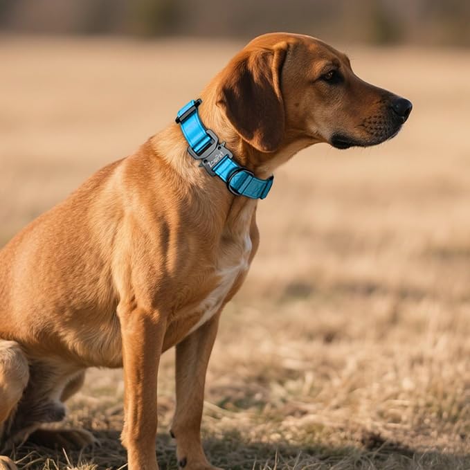 AirTag Dog Collar - Leather Dog Collar with Airtag Holder | IP68 Waterproof AirTag Holder with Metal Buckle, Comfortable GPS Dog Collars Tracker for Medium Large Dogs (Blue, L)-PurrikoPets