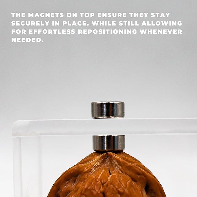 2 Pack Jumping Spider Enclosure Accessories with Walnut Shell Moss and Magnet, Natural Material Jumping Spider Hide-PurrikoPets