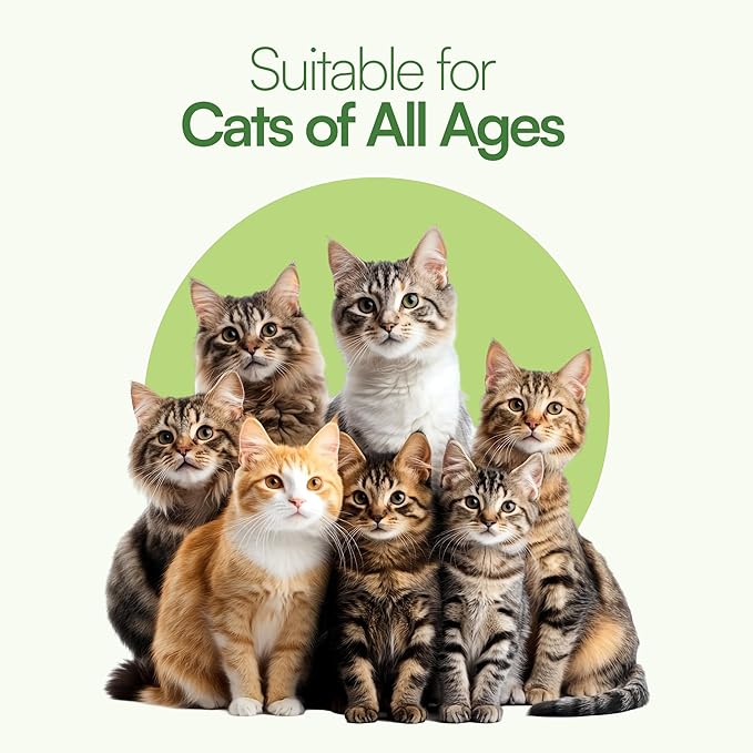 3 Pcs Catnip Balls with Feathers – Natural Catnip Toy for Play, Stress Relief & Healthy Enrichment Interactive Cat Toys Perfect for Indoor Cats & Kittens, Encourages Active Play & Wellness-PurrikoPets