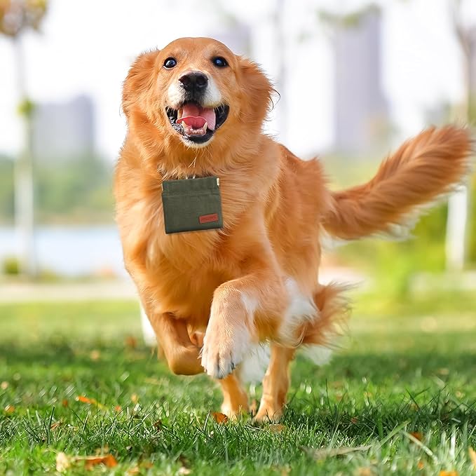 2PC Dog Treat Pouch,Dog Training Treat Reward Bag,Portable Puppy Hand Free Dog Walking Bag,Auto Closing Dog Food Dispenser,Behavior Aids for Puppy Travel or Outdoor(Green+Grey)-PurrikoPets