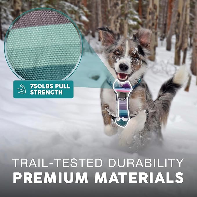 Embark Adventure Dog Harness, Reflective Trim XL Dog Harness for Extra Large Dogs No Pull - Military Grade Nylon, 2 Leash Clips & Gel Lined Handle. Soft & Padded Puppy Dog Harnesses for Any Breed-PurrikoPets