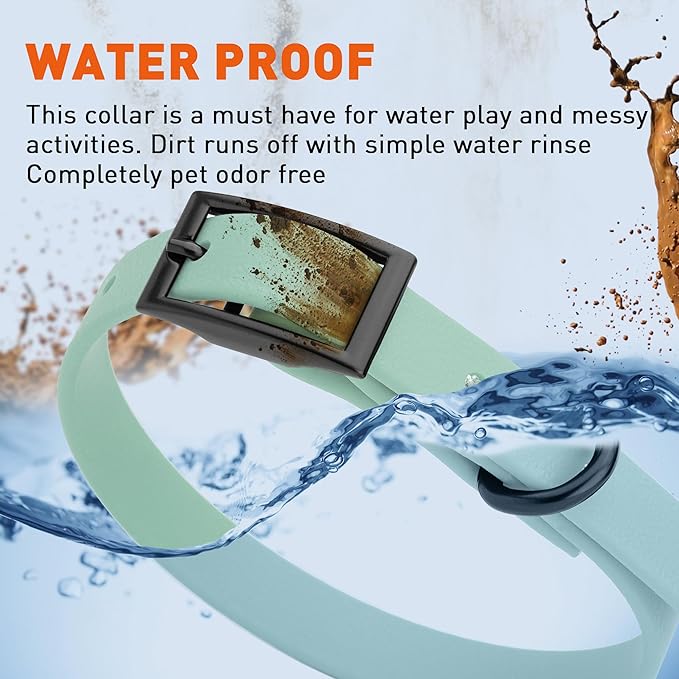 Dogline Biothane Waterproof Dog Collar Strong Coated Nylon Webbing with Black Hardware Odor- Proof for Easy Care Easy to Clean High Performance Fits Small Medium or Large Dogs, Sage Green-PurrikoPets