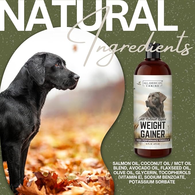 Dog Weight Gainer Liquid – High Calorie Dog Food Supplement for Rapid Weight Gain, Mass, and Recovery – Appetite Stimulant – 60 Servings-PurrikoPets