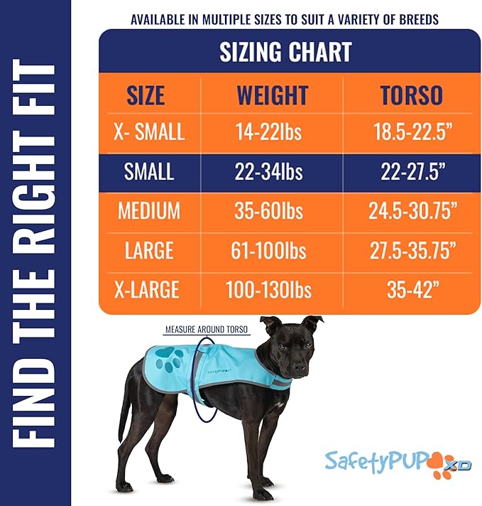 Dog Reflective Vest – Hi-Vis Fluorescent Visibility That Helps to Safeguard Your Pet On/Off Leash in Urban & Rural Areas (Teal, Small)-PurrikoPets