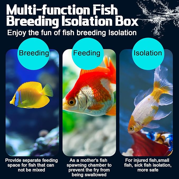 2 Pcs Breeder Box for Fish Tank Aquarium Breeder Separation Net Breeding Box with Suction Cup for Small Fish Shrimp Clownfish Guppy-PurrikoPets