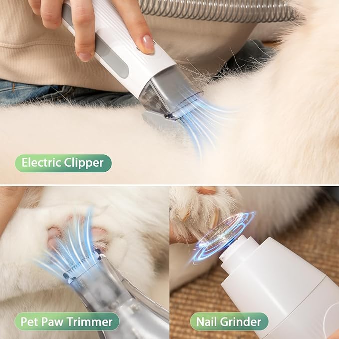 Afloia 6-in-1 Dog Grooming Kit, Pet Grooming Vacuum for Shedding, Dog Hair Vacuum with Clipper Nail Trimmer Grinder, Pet Brush Groomer at Home, Low Noise Cats Hair Remover, 1.5L Dust Cup, Green-PurrikoPets