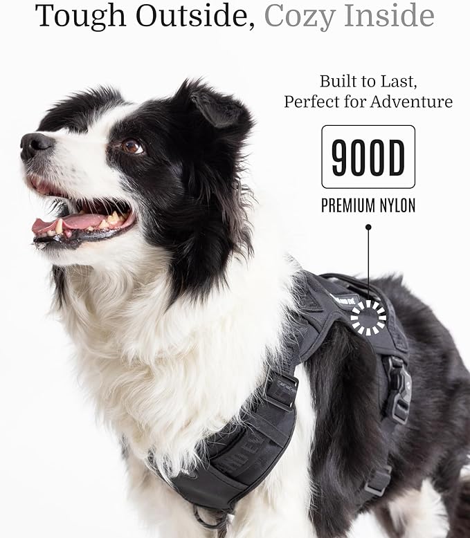 2025 New Edition, Fei & Eve MagEase Dog Harness - 3-Second Magnetic Buckles | 3-Point No-Pull Control | Heavy-Duty 900D Nylon | Dual Safety Handles | Breathable Mesh | Adjustable Fit | Small, Black-PurrikoPets