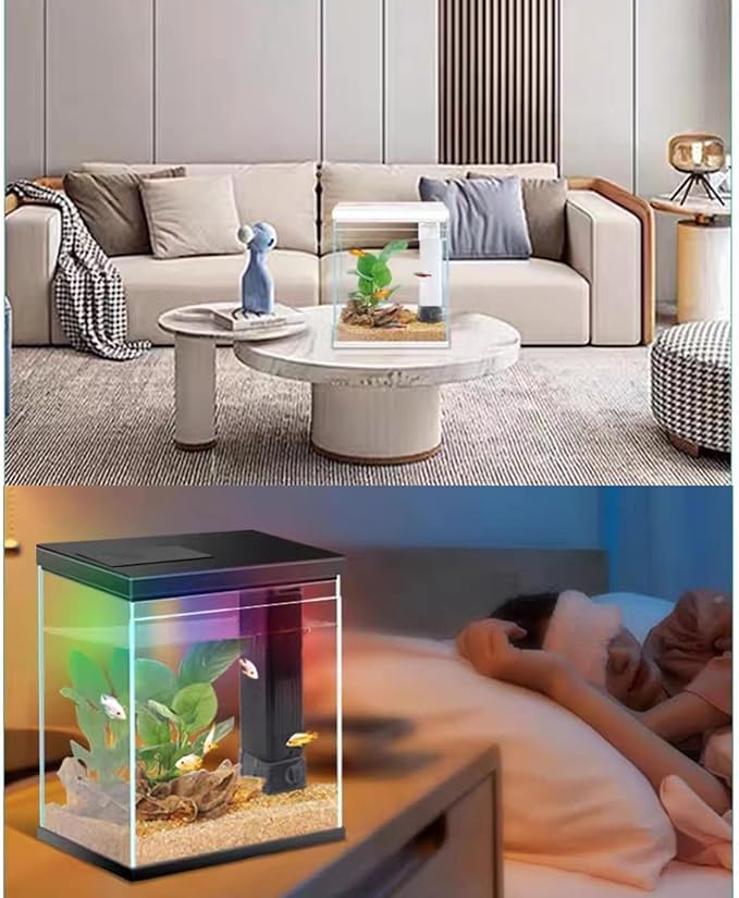 Glass Betta Aquarium Starter Kits, 2 Gallon Fish Tank with Heater Filter and Light.-PurrikoPets