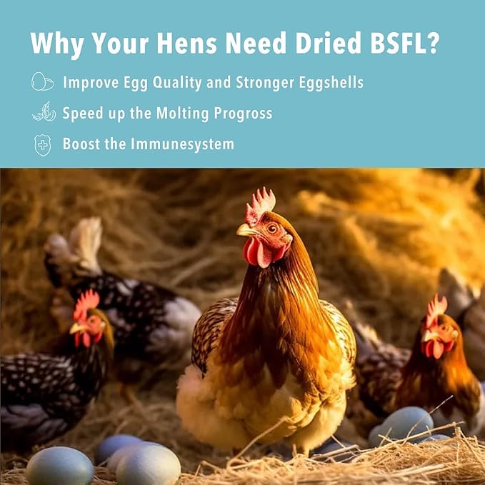 5LB Dried Black Soldier Fly Larvae Treat for Chicken More Calcium Than Mealworms,for Laying Hen,Wild Birds (5 Pound)-PurrikoPets