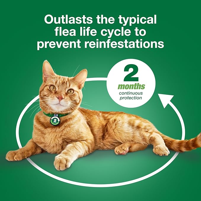 Advantage XD Small Cat Flea Prevention & Treatment For Cats 1.8-9lbs. | 4-Topical Doses, 2-Months of Protection Per Dose-PurrikoPets