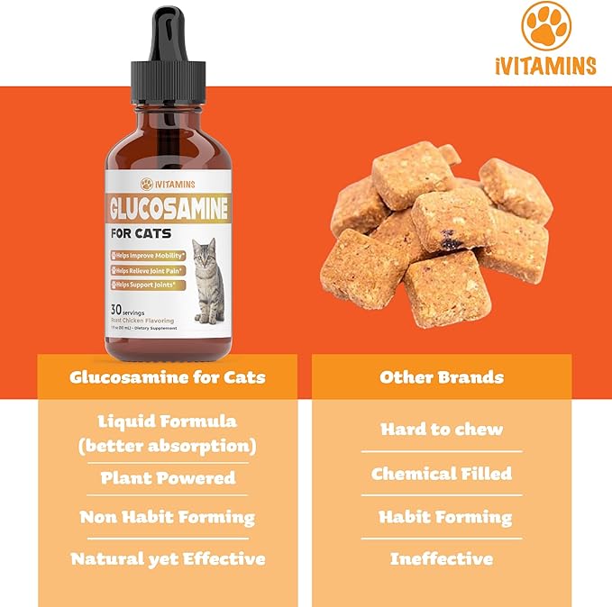 Glucosamine for Cats | Cat Glucosamine | Glucosamine for Cats Liquid | Cat Joint Supplement | Joint Supplement for Cats | Cat Joint Pain Relief | Joint Support for Cats | 1 fl oz: Chicken Flavor-PurrikoPets