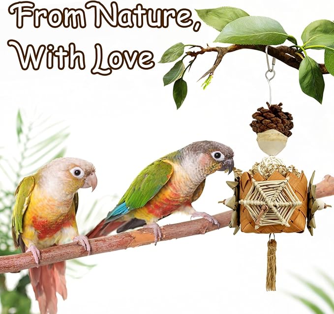 5-Pack Natural Hanging Basket Bird Toys – Foraging & Chewing Toys for Parakeets, Cockatiels, Conures & Small Birds – No Plastic, All-Natural Materials-PurrikoPets