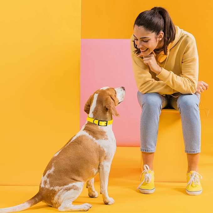 Dogline Biothane Waterproof Dog Collar Strong Coated Nylon Webbing with Black Hardware Odor- Proof for Easy Care Easy to Clean High Performance Fits Small Medium or Large Dogs, Lemon Yellow-PurrikoPets