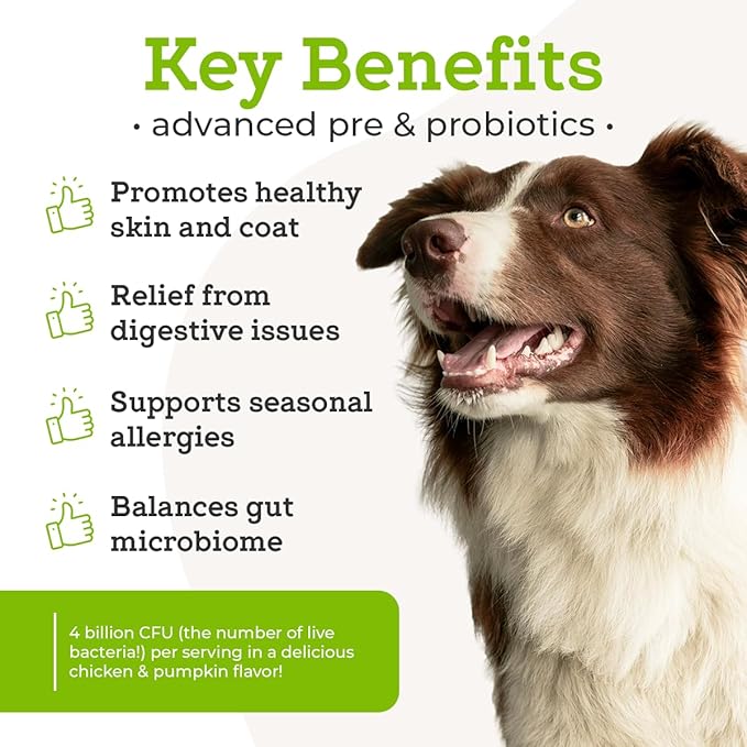 Dr. Joseph's VetPro Complete Advanced Powdered Pre & Probiotics for Dogs, 90 Scoops, Supports Gut Health, Diarrhea, Digestive Health & Seasonal Allergies, Chicken/Pumpkin Flavor, Add to Food-PurrikoPets