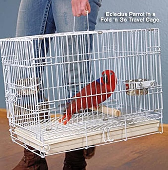 Durable Easy Portable Metal Travel or Veterinary Collapsable Parrot Bird Carrier Beaks Proof Cage with Stainless Steel Feeder Bowls Natural Wooden Perch Stand-PurrikoPets