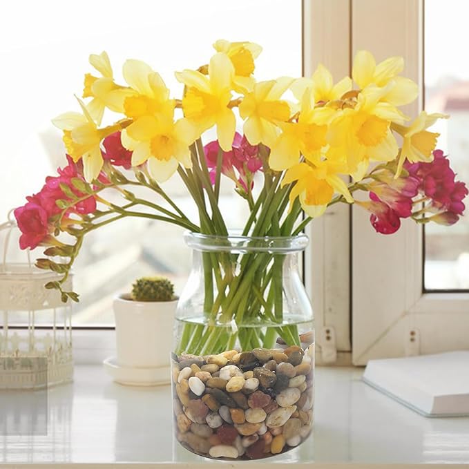 2 Pounds Pebbles for Plants, 3/8 Inch Polished Pea Gravel. Decorative Stones River Rocks for Succulent Soil Cover, Cactus, Aquarium, Vase and Outdoor Garden Landscaping-PurrikoPets