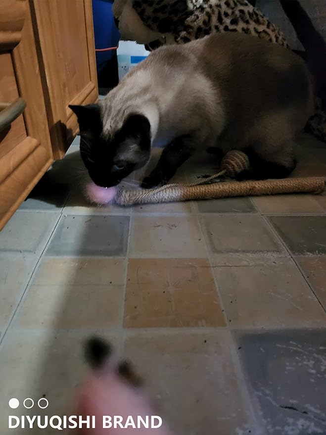 50-Pack Soft Cat Toy Balls – Fun Playtime & Exercise for All Cats (1.5 inch, Cat Toys Mega Set)-PurrikoPets