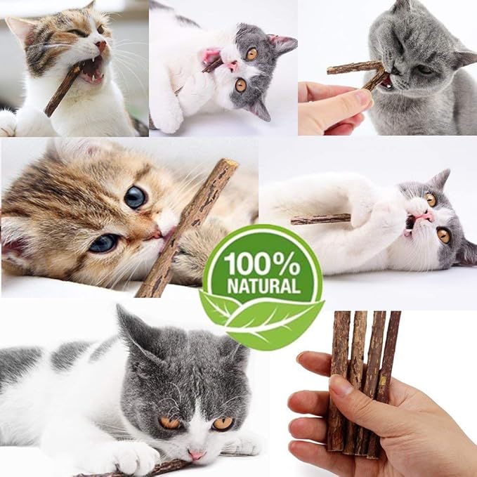 10 PCS Cat Catnip Sticks, Natural Matatabi Silvervine Sticks - Cleaning Teeth Molar Tools Kitten Chew Toy Natural Catnip Cats Toy-PurrikoPets