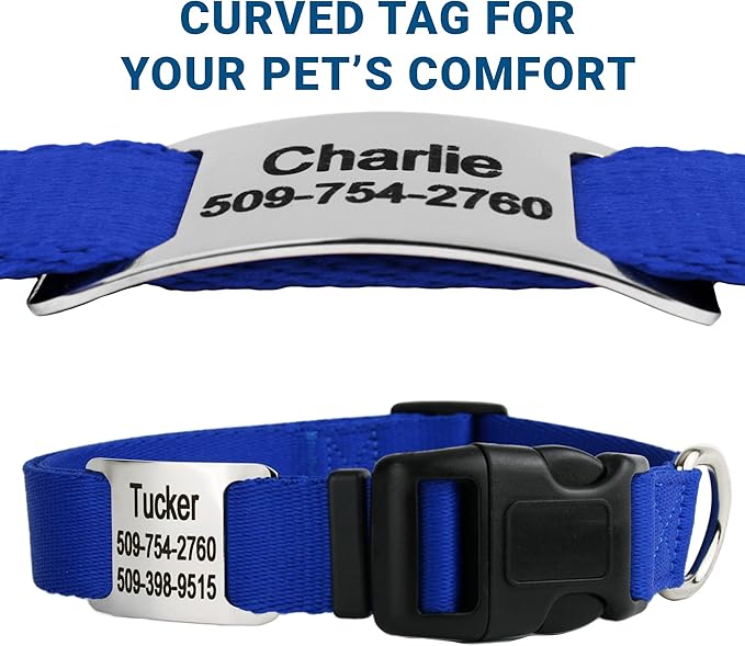 GoTags Personalized Dog Collar with Nameplate, Adjustable Dog Collar with Custom Engraved Slide On Pet ID Tag in Stainless Steel, Silent, No Noise Dog Tag for Large Medium and Small (Blue, Medium)-PurrikoPets
