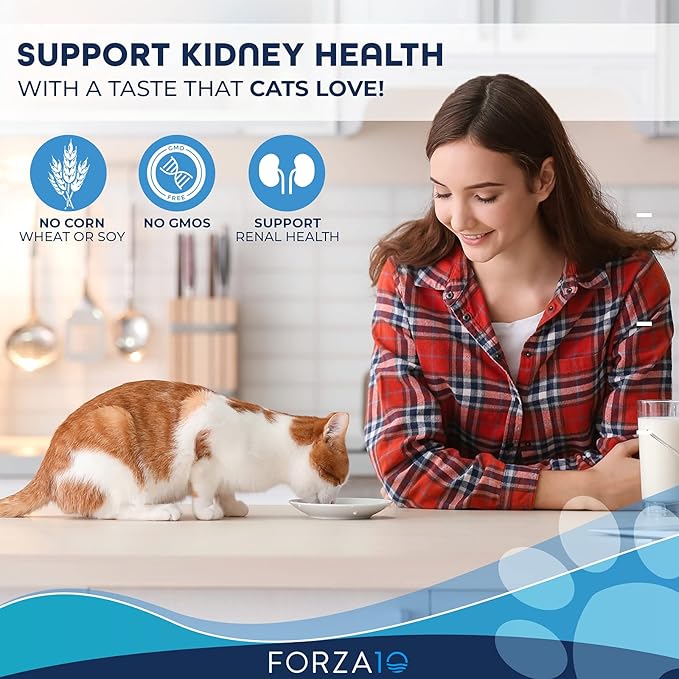 Forza10 Kidney Care Cat Food – Renal Support Wet Cat Food with Lamb, 3.5 oz Cans, 12 Pack – Vet Formulated, Made in Italy-PurrikoPets
