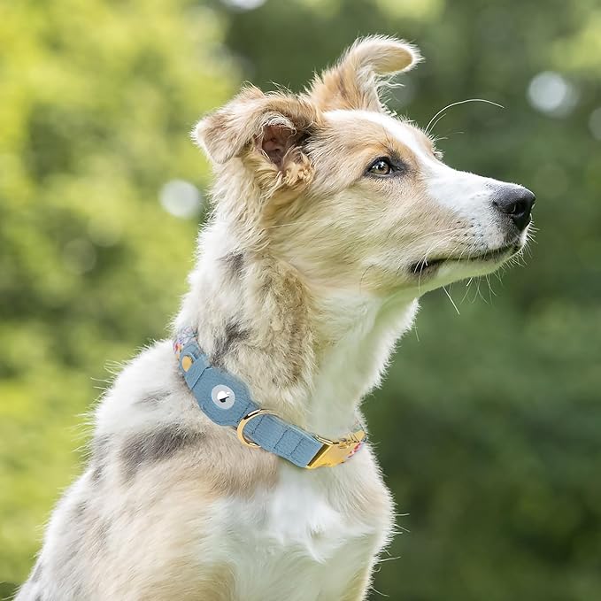 AirTag Dog Collar for Small Medium Large Breed - Adjustable Cute Pattern Dog Collar with Airtag Holder - Soft Leather Tracker GPS Apple Air Tag Pet Collars (X-Large, 20"-25" Neck Fit, Floral)-PurrikoPets