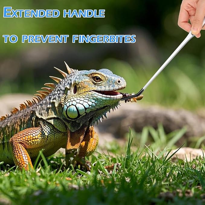 5 Pcs Reptile Feeding Tools Set with Silicone Tips - Extra Long Straight&Curved Tongs, Spoons, Scissors - Stainless Steel Terrarium Feeder Kit for Bearded Dragons, Lizards, Snake, Spiders, Aquarium-PurrikoPets