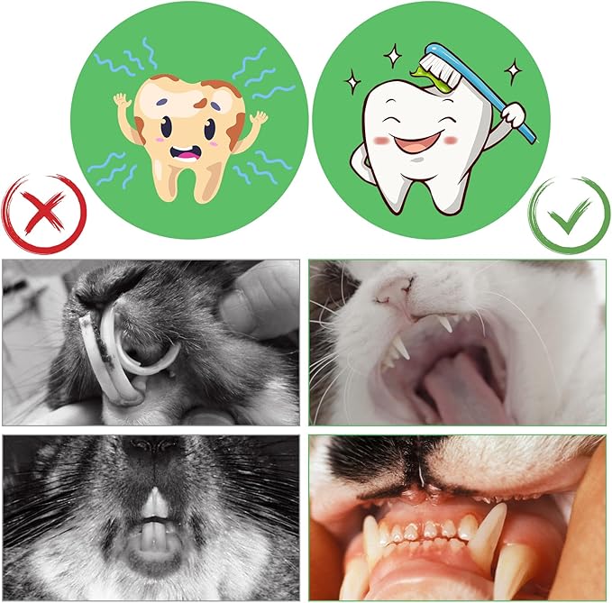 1000g/2.2lb Bamboo Chews for Rabbits, Rabbit Sticks Rabbit Chew Toys Bunny Chew Toys, Molar Treats for Small Animals, Hamsters, Chinchillas, Guinea Pigs, Natural Teeth Grinding Toys-PurrikoPets