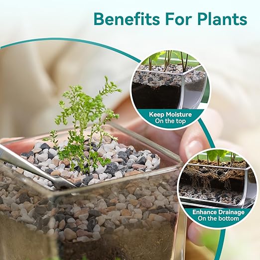 2.5 lbs Small Rocks for Succulents, 1/5 Inch Pebbles for Indoor Plants, Decorative Pea Gravel for Terrarium, Vases, Aquariums, Fish Tank, Drainage Rocks for Potted Plants, Bamboo,Crafts, Cactus-PurrikoPets