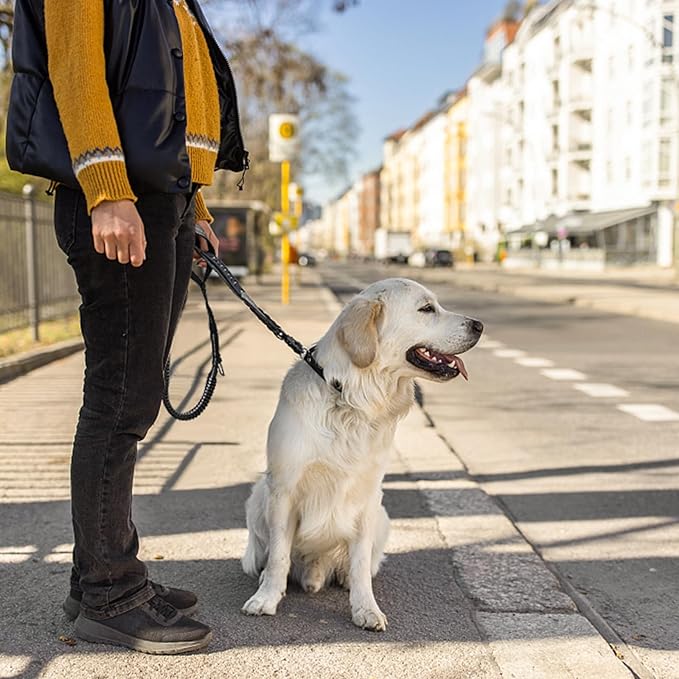 4-6FT Heavy Duty Dog Leashes for Large Dogs, Shock Absorbing Bungee Tactical Leash with 2 Padded Handle, Car Seatbelt and Metal Carabiner Clip, Strong No Pull Dog Leash for Medium-PurrikoPets
