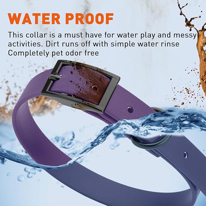 Dogline Biothane Waterproof Dog Collar Strong Coated Nylon Webbing with Black Hardware Odor- Proof for Easy Care Easy to Clean High Performance Fits Small Medium or Large Dogs, Violet Purple-PurrikoPets