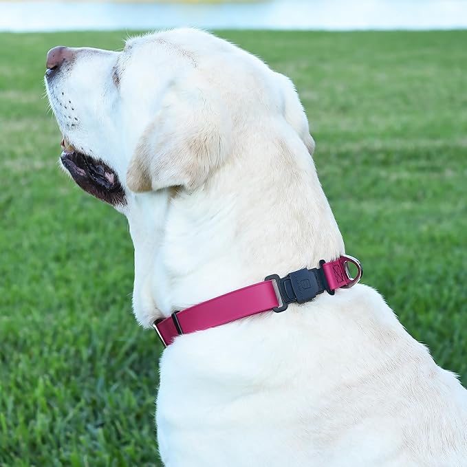 Dogline Biothane Waterproof Dog Collar with Herm Sprenger Stainless Steel Quick Release Buckle – Heavy Duty Tactical Durable Collar for Dogs – Comfortable and Safe Pet Collar, W 1" L 15-25", Magenta-PurrikoPets