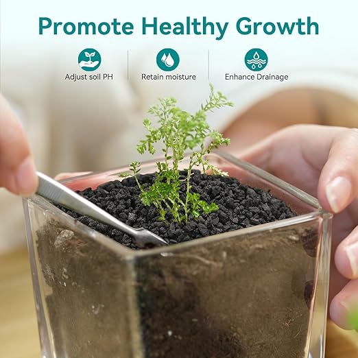 2.5lbs Small Lava Rocks for Plants Drainage, 1/5 Inch Black Gravel Mulch for House Plants, Succulent Rocks Pebbles for Planters,Cactus, Bonsai Tree, Pure Volcanic Rocks, Top-Dressing-PurrikoPets