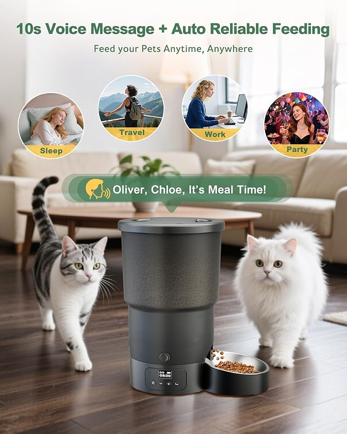 Gimars 5L/20 Cups Automatic Cat Feeder, Programmable 1-6 Meals Cat Food Dispenser with Stainless Steel Bowl, Easy Setup, Dual Power Supply,10s Meal Call Timed Pet Feeder for Cats and Small Dogs-PurrikoPets