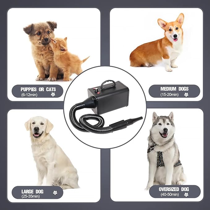 2400w 75m/s Dog Dryer for Pet Grooming, High Velocity Pet Hair Dryer with Heater, Adjustable Speed, 4 Nozzles and a Comb, Black-PurrikoPets