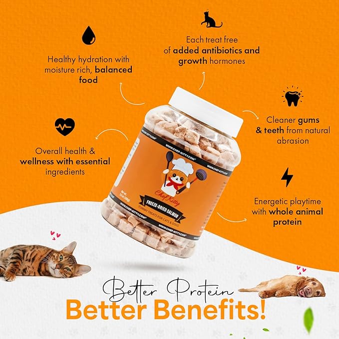 Freeze-Dried Salmon Treats for Cats & Dogs – 100% Wild Caught, Single Ingredient, High-Protein, Healthy Snack – No Additives or Preservatives – 2.6oz - Inspected & Tested in USA-PurrikoPets