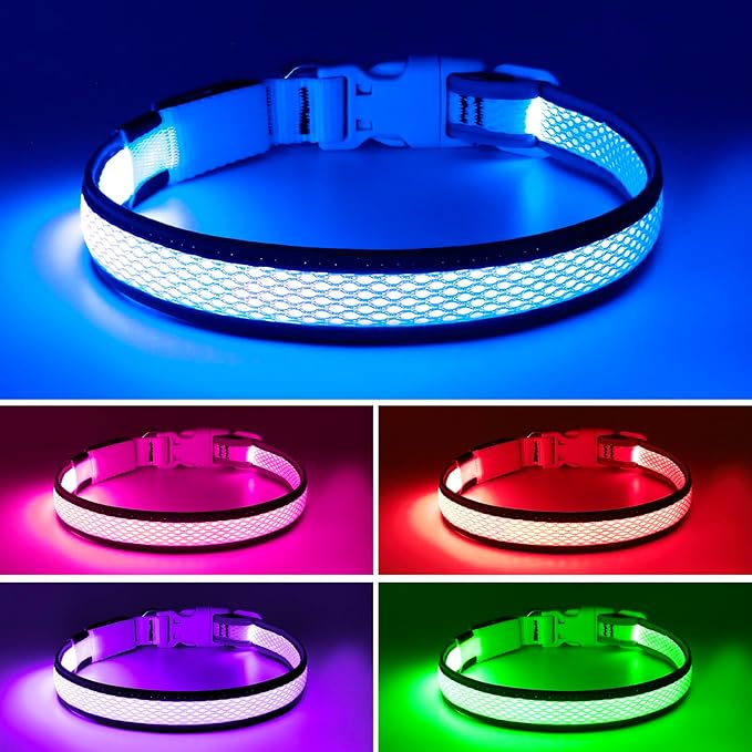 Flashseen LED Dog Collar, Light Up Dog Collar USB Rechargeable, Brightest Dog Lights for Night Walking, Adjustable Dog Collar Light for Dog Safety (Large, Royal Blue)-PurrikoPets