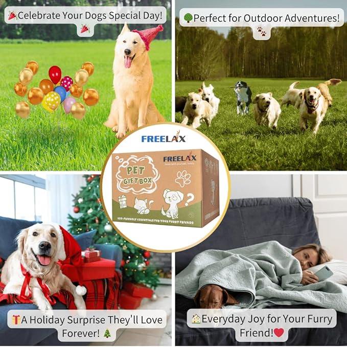 Durable Dog Chew Toys Gift Box – Eco-Friendly Teething Toys for Aggressive Chewers, Plush & Squeaky Toys, Toothbrush, Ideal Gift Basket for Medium & Large Dogs-PurrikoPets