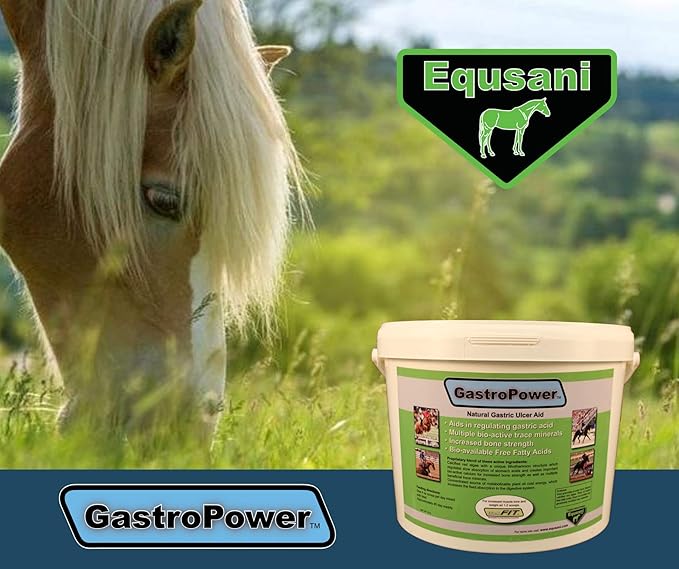 GastroPower Digestible Free Fatty Acid Feed Concentrate for Horses-PurrikoPets