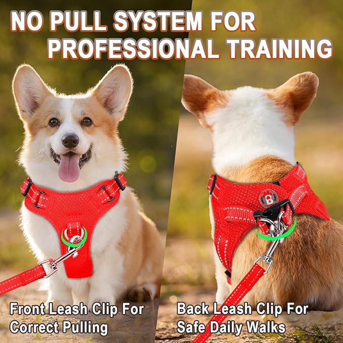 Dog Harness Step in Dog Vest Harness, Reflective Adjustable Puppy No Pull Harness Breathable Soft for Small and Medium Dogs Cats, Red, XXS-PurrikoPets