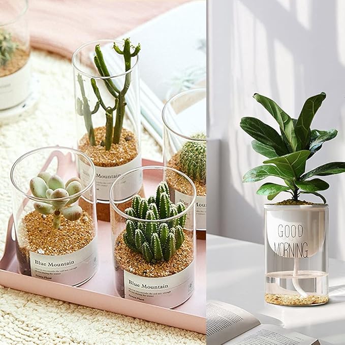 7lb Cactus Pea Gravel Rocks,1/5 Inch Pebbles for Indoor Plants, Natural Succulent Rock and River Rocks Decorative for Aquariums, Vases, Terrarium, Outdoor Gardening, Top Dressing for Potted Plants-PurrikoPets