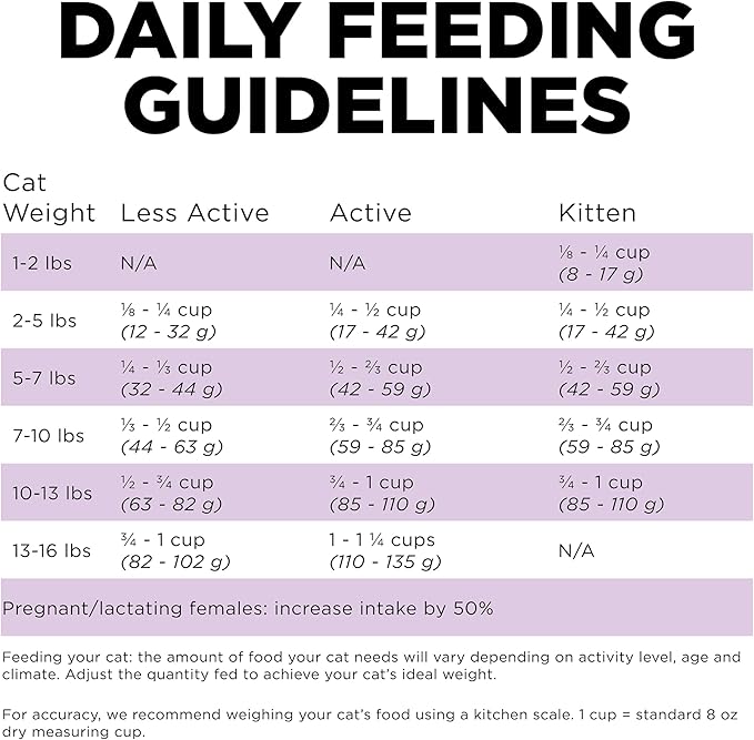 Go! Solutions Carnivore, Grain-Free, Protein Rich Dry Cat Food, Chicken, Turkey and Duck Recipe, 3 lb Bag-PurrikoPets