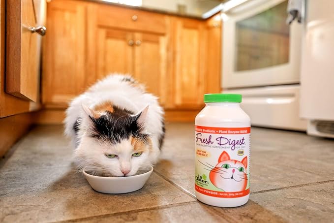 Fresh Digest Daily Digestive Aid and Immune Support Supplement for Cats, Natural Prebiotic and Enzyme Powder for Healthy Stools, Hairball Control, Stop Litterbox Odor, Works Fast 100g/3.5oz-PurrikoPets