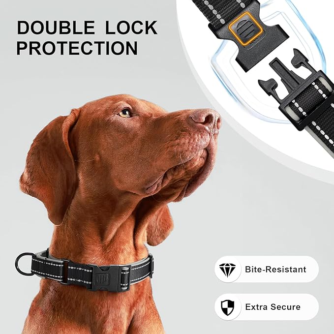Airtag Dog Collar with Martingale Design, IP68 Waterproof Air Tag Collar Holder, Adjustable Reflective Soft Padded Nylon Dog Collar for Large Medium Small Dogs-PurrikoPets