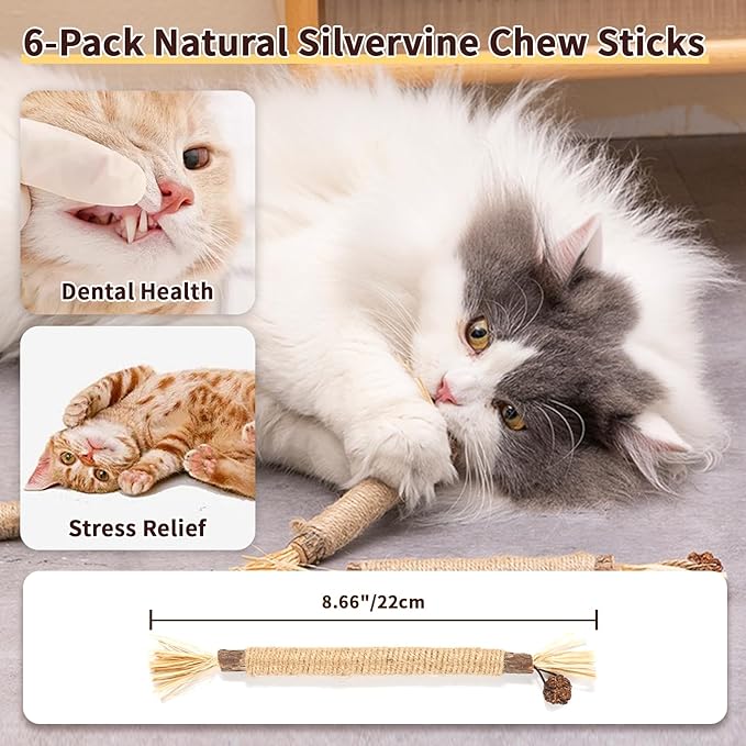 6 Pack Silvervine Cat Chew Toys, Natural Dental Sticks for Indoor Cats, Kittens Teeth Cleaning, Catnip Alternative, Interactive Play, Yellow-PurrikoPets