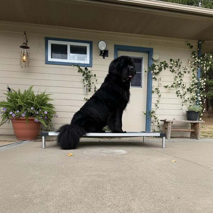 FXW TitanNest Chew-Proof Elevated Dog Bed, Raised Cot for Indoor/Outdoor/Camping Use, Durable & Washable Padded Pet Bed for Large Dogs, 50.0" L x 31.0" W x 7.3" H, Gray-PurrikoPets